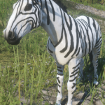 A Zebra V1.0