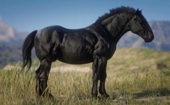 THE GIGACHAD HORSE