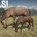 Foals V1.0.1