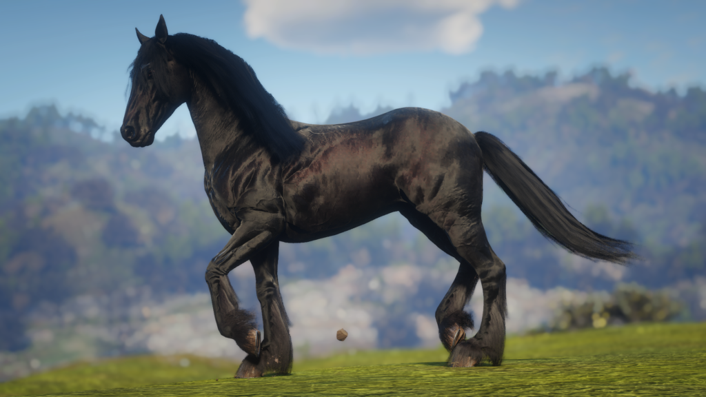 Friesian Horse Breed