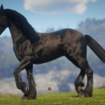 Friesian Horse Breed