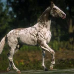 Akhal-Teke Horse Breed