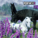 Friesians V1.0