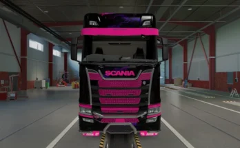 Quinn Skin For Scania S v1.0