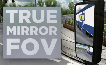 True Mirror FOV for ETS2 1.48