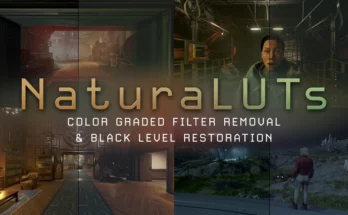 NaturaLUTs - Color Graded Filter Removal and Black Level Restoration LUTs V1.0