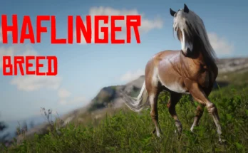 Haflinger Horse Breed V1.0
