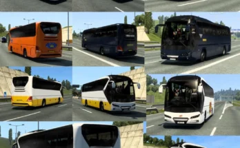 Sri Lanka Bus Traffic 1.48