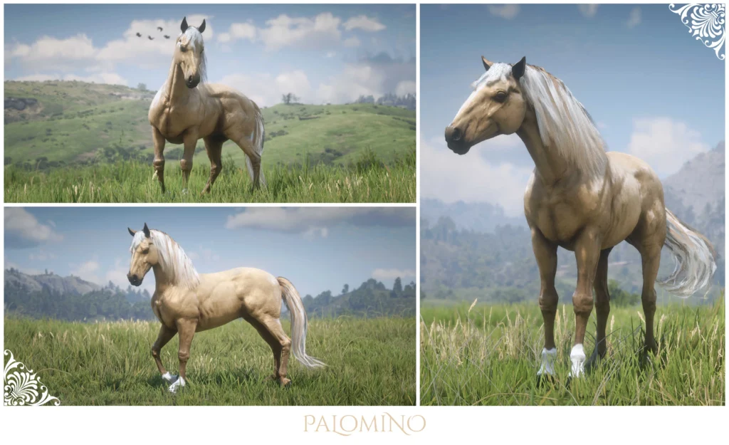 Andalusian Palomino Horses V1.0