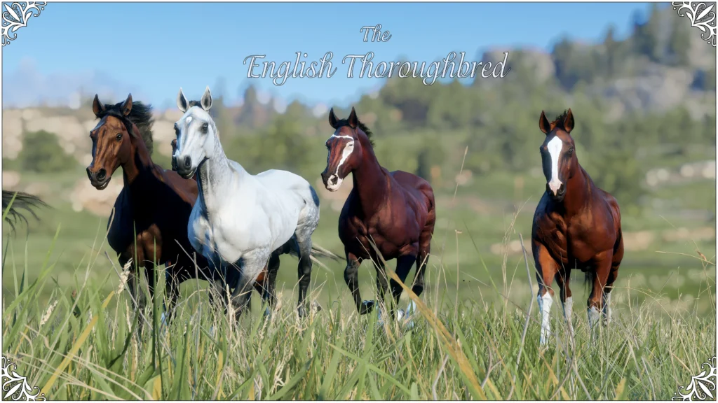 English Thoroughbred V1.0