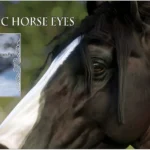 Realistic Horse Eyes V1.0