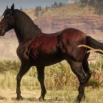 The Updated Andalusian Horse V1.0