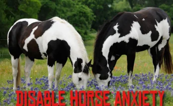 Disable horse anxiety V1.0