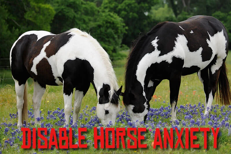 Disable horse anxiety V1.0