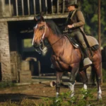 Horses For Y'all V1.0