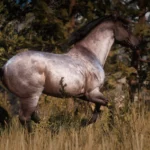 The Updated Morgan Horse V1.0