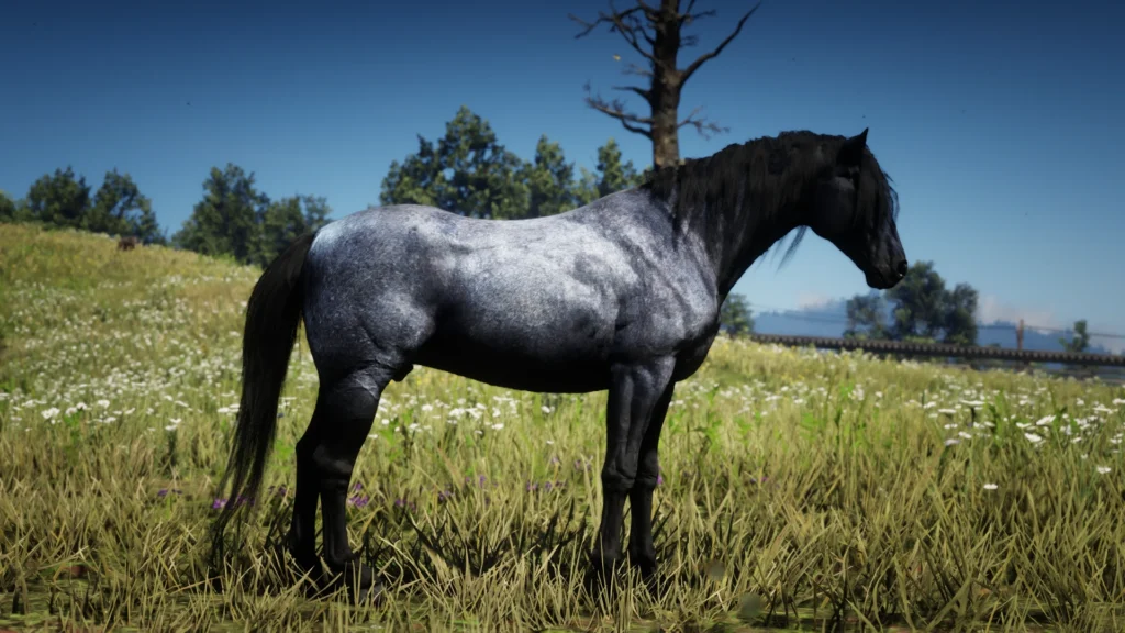 The Updated Nokota Horse V1.0
