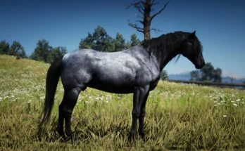 The Updated Nokota Horse V1.0