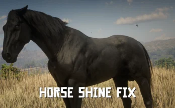 Horse Shine Fix V1.0