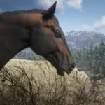 Realistic Horse Textures V1.0