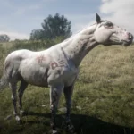 Realistic Horse Textures V1.0