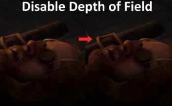 Disable Depth of Field V1.0