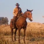 Cut Beta Horse Recreated V1.0