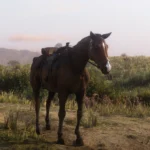 Cut Beta Horse Recreated V1.0