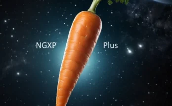 NGXP Plus V1.0