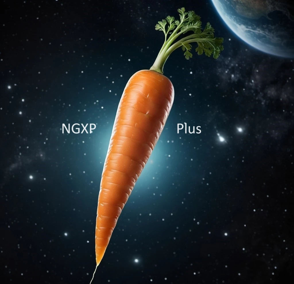NGXP Plus V1.0