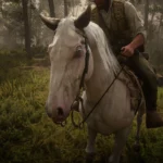 New Horse Coats V1.0.1