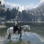 Horse Hydration V1.0