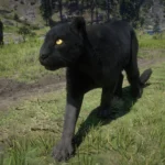 Online Cougars Unlocked for SP