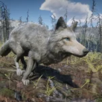 Online Coyotes Unlocked for SP