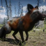 Online Foxes Unlocked for SP