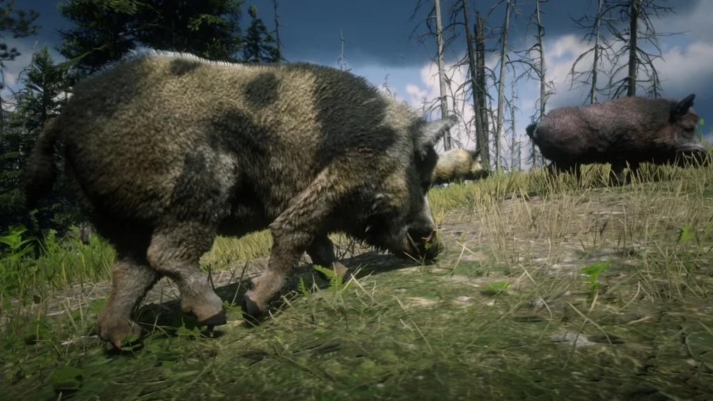 Online Wild Boars Unlocked for SP V1.0