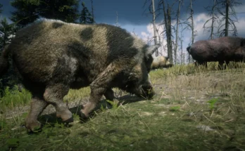 Online Wild Boars Unlocked for SP V1.0