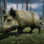 Online Wild Boars Unlocked for SP V1.0