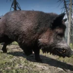 Online Wild Boars Unlocked for SP V1.0