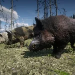 Online Wild Boars Unlocked for SP V1.0