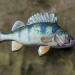 Upscaled Fish