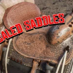 Upscaled Saddles