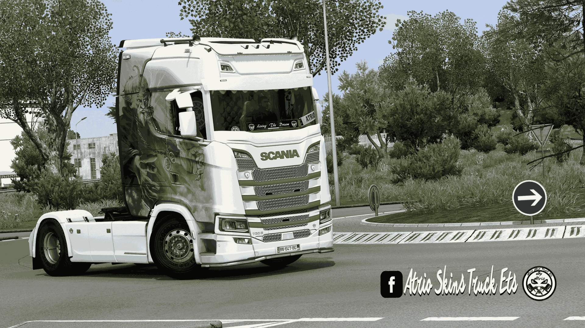 Skin Scania S Grenouille v1.0