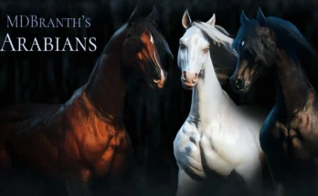 Arabians