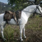 Custom White Arabian V1.0