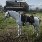 Custom White Arabian V1.0