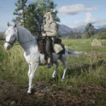 Custom White Arabian V1.0