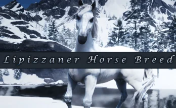 Lipizzaner Horse Breed