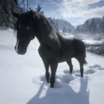 Black Arabian Enhanced (With Optional Pure Black) V1.0