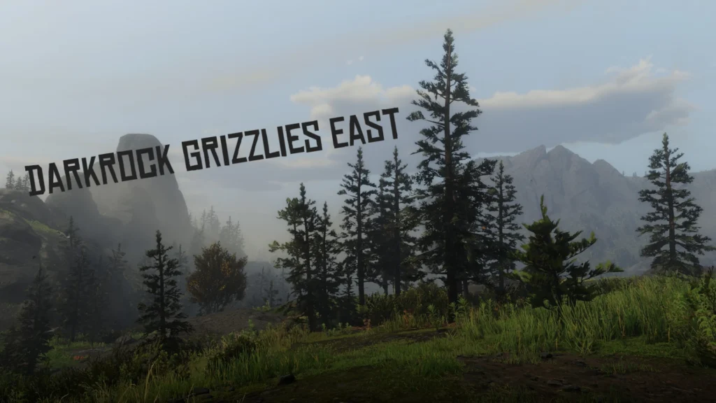 Darkrock Grizzlies